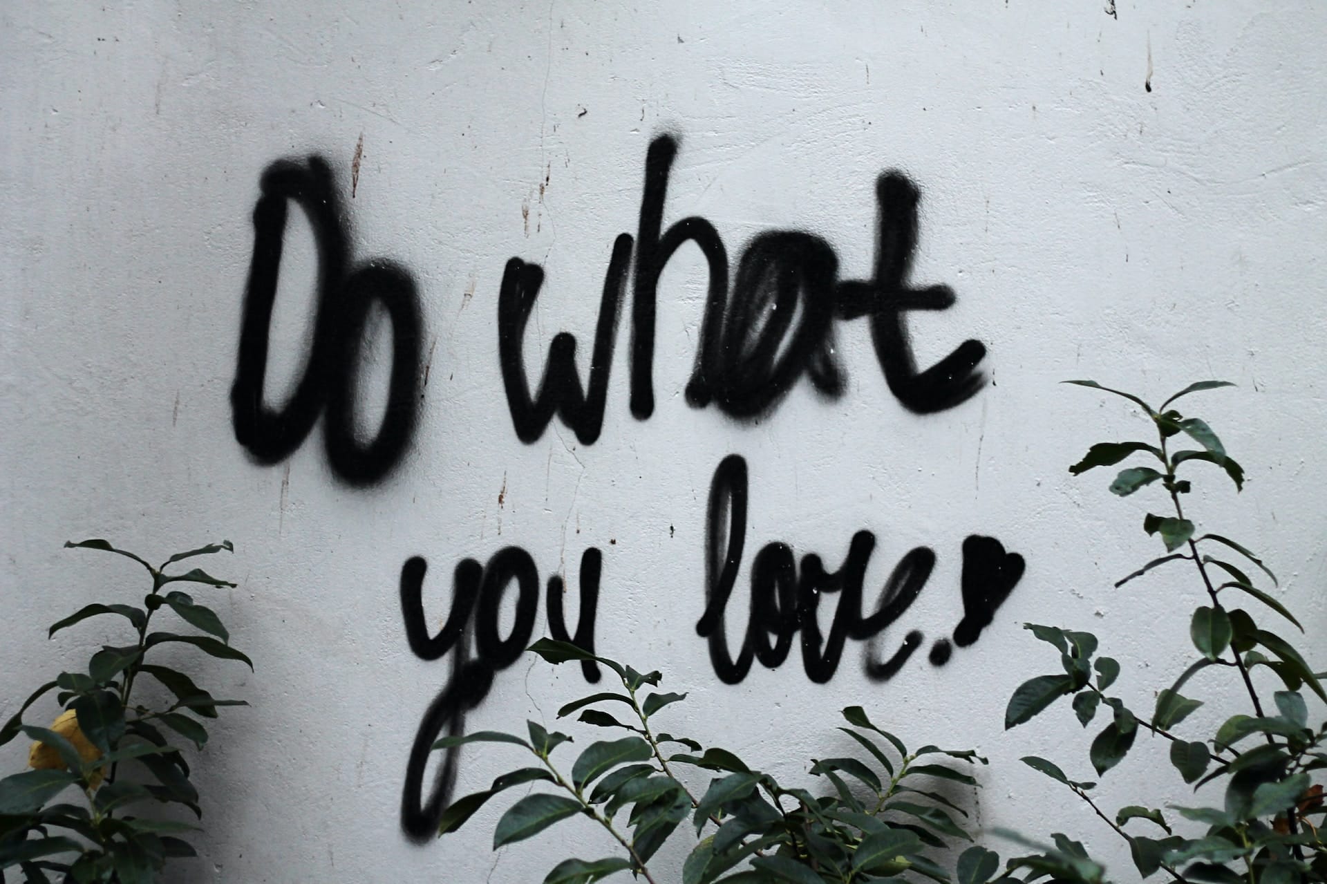 Graffiti on a wall in the Netherlands with the inspiring message 'Do what you love'. The street art embodies a spirit of freedom and passion, encouraging viewers to pursue their interests and connect with their inner creativity.